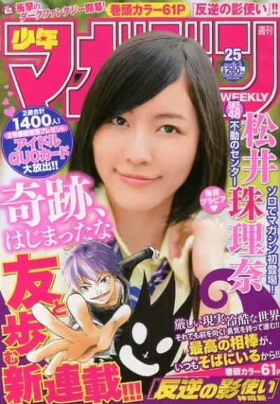 Cover of No. 25, 2013