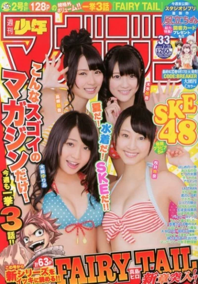 Cover of No. 33, 2013