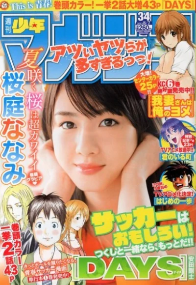 Cover of No. 34, 2013