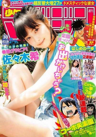 Cover of No. 30, 2014