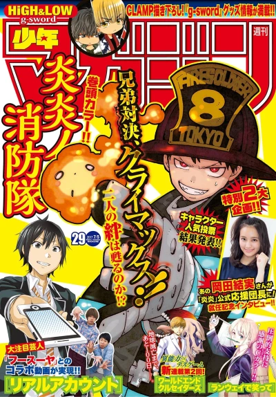 Cover of No. 29, 2017