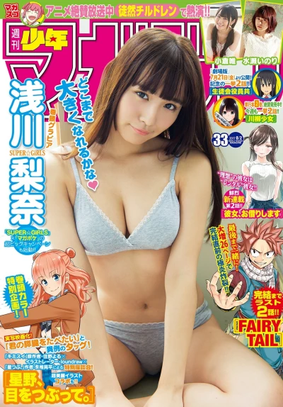 Cover of No. 33, 2017