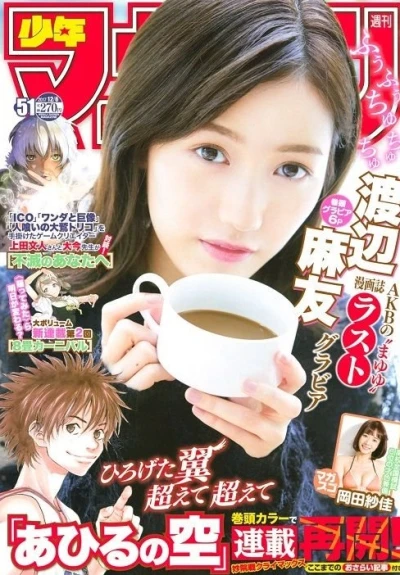 Cover of No. 51, 2017