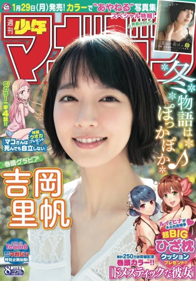 Cover of No. 8, 2018