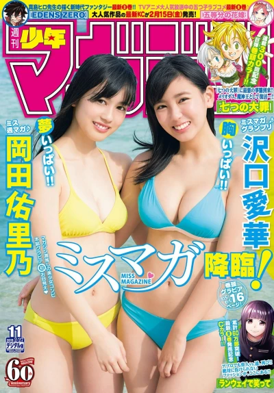Cover of No. 11, 2019