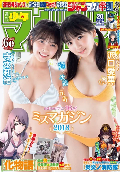 Cover of No. 20, 2019