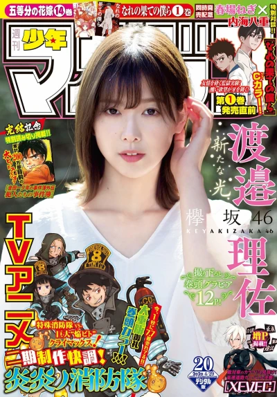 Cover of No. 20, 2020