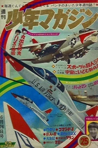 No. 25, 1966