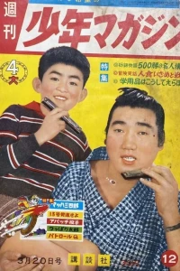 No. 12, 1960