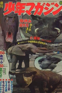 No. 15, 1969
