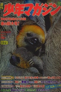 No. 17, 1969