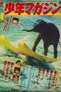 No. 30, 1971