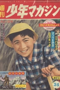No. 34, 1960
