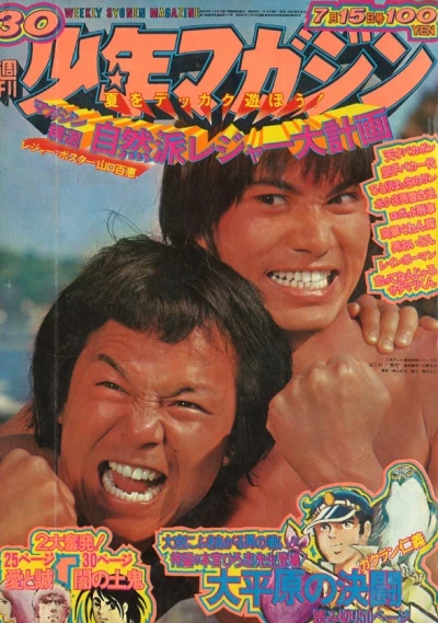 Cover of No. 30, 1973