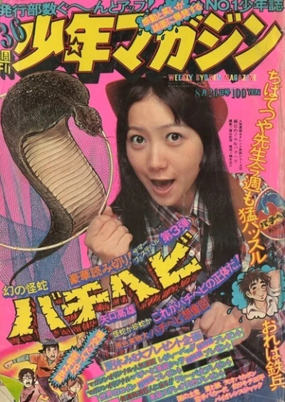 Cover of No. 36, 1973