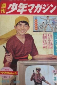 No. 38, 1960