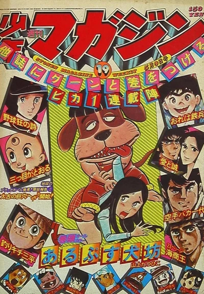 Cover of No. 19, 1976