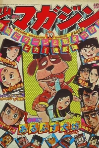 No. 19, 1976