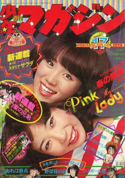 Cover of No. 17, 1977