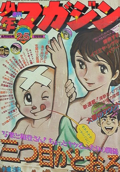 Cover of No. 25, 1977