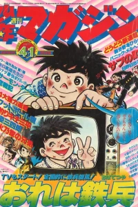 No. 41, 1977