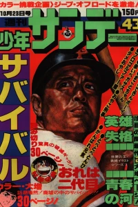 No. 43, 1977