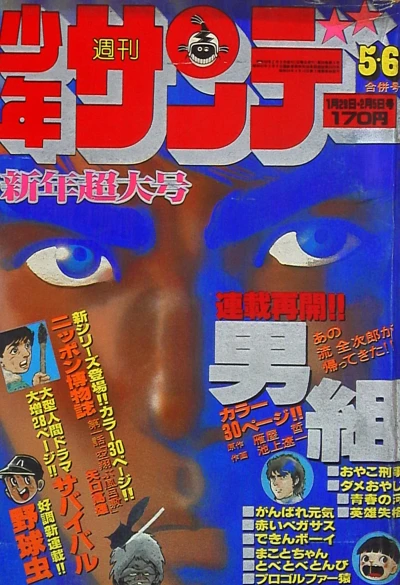 Cover of No. 5-6, 1978