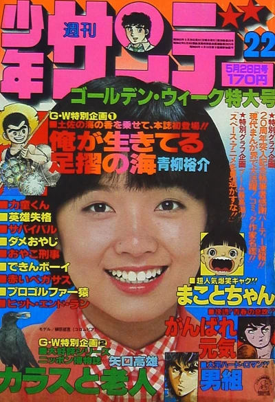 Cover of No. 22, 1978