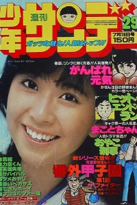 No. 29, 1978