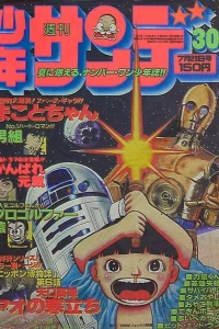 No. 30, 1978