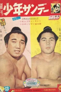 No. 13, 1961