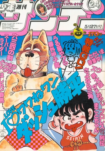 Cover of No. 24, 1981