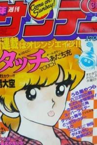 No. 36, 1981