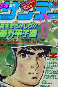 No. 37, 1981