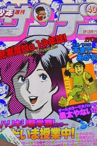 No. 40, 1981