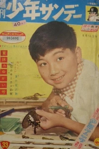 No. 33, 1961