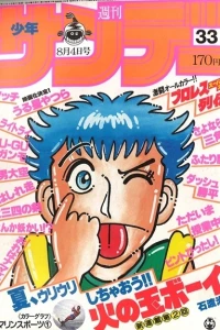 No. 33, 1982