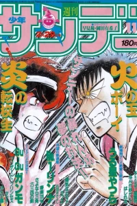 No. 11, 1984