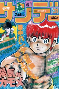 No. 31, 1984