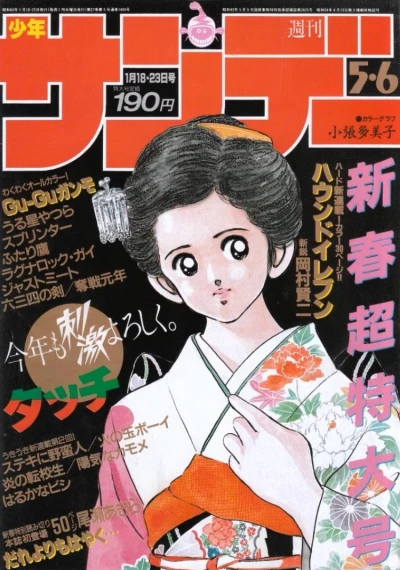 Cover of No. 5-6, 1985