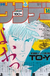 No. 16, 1985