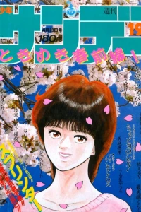 No. 19, 1986