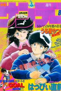 No. 8, 1987