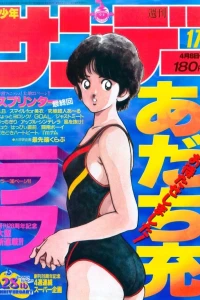 No. 17, 1987