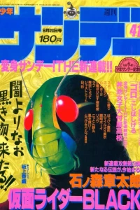 No. 41, 1987