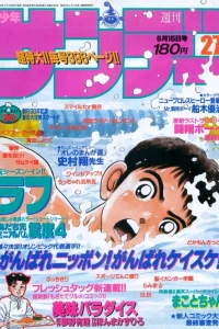 No. 27, 1988