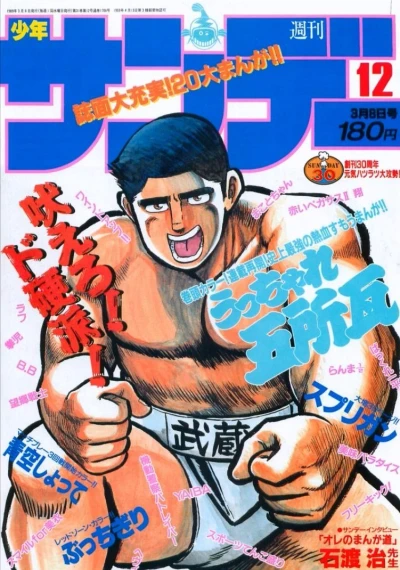 Cover of No. 12, 1989