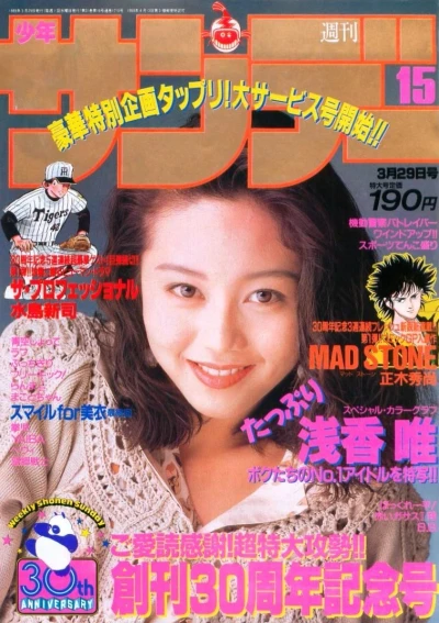 Cover of No. 15, 1989