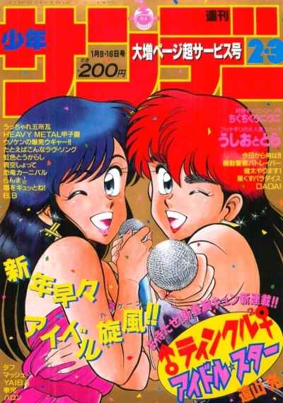 Cover of No. 2-3, 1991