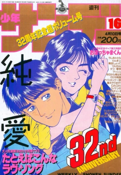 Cover of No. 16, 1991